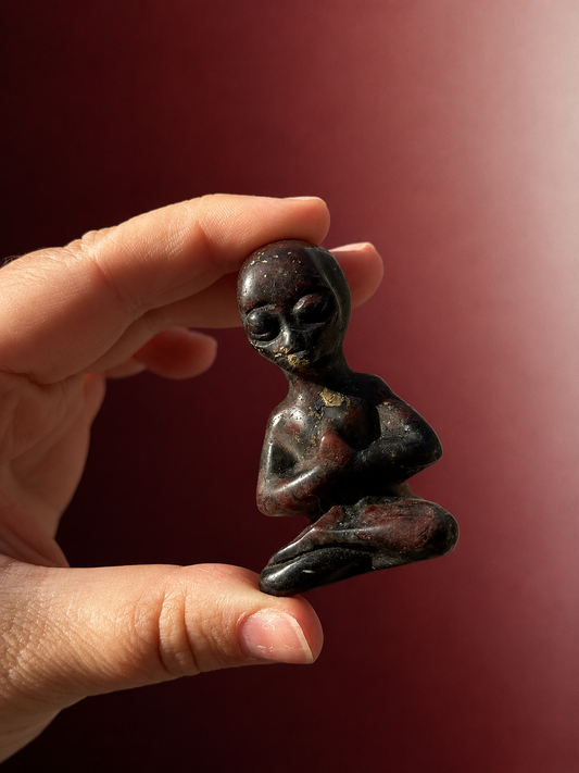 Garnet Arfvedsonite Yoga Aliens