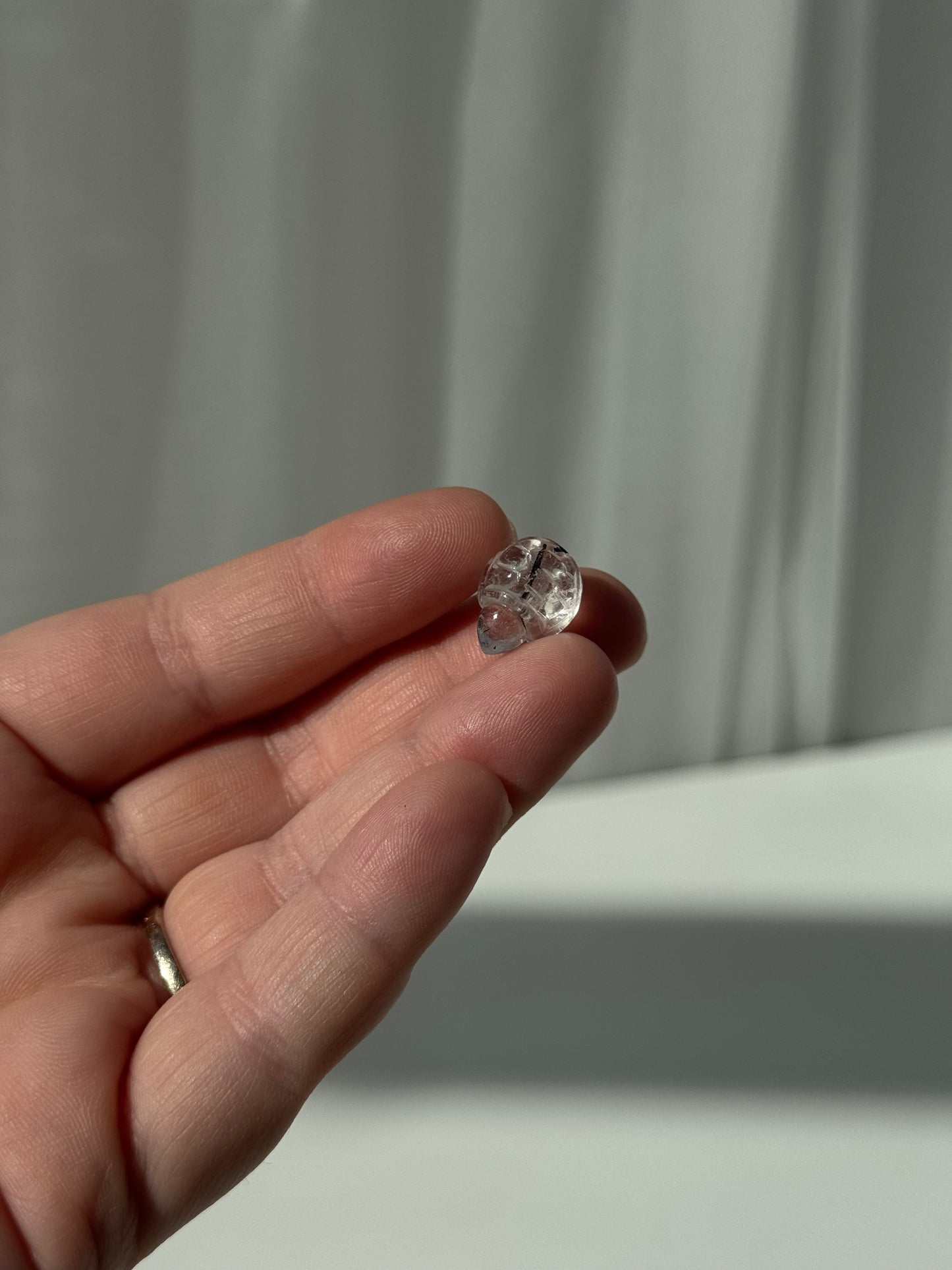 Black Tourmaline in Quartz Mini Turtle